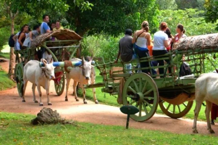 Local Villege Experience